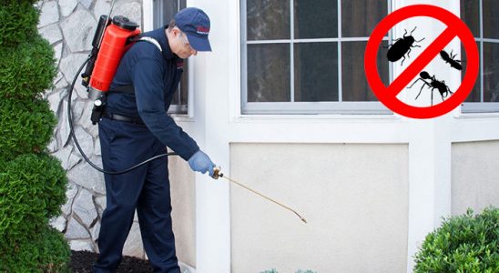 Eşrefpaşa Karınca İlaçlama böcek ilaçlama ve haşere kontrolü — ilaclama-tr.com
